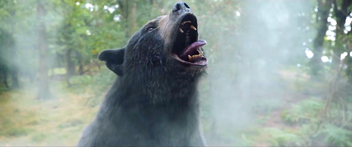 L'ours à la truffe poudrée est bien plus mignon qu'effrayant dans le film Crazy Bear