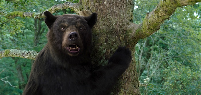Critique défavorable de Crazy Bear même si l'ours qui mange de la cocaïne est très réussi mais mal exploité dans le film