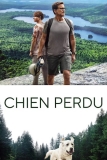Chien perdu | Film d’après une histoire vraie